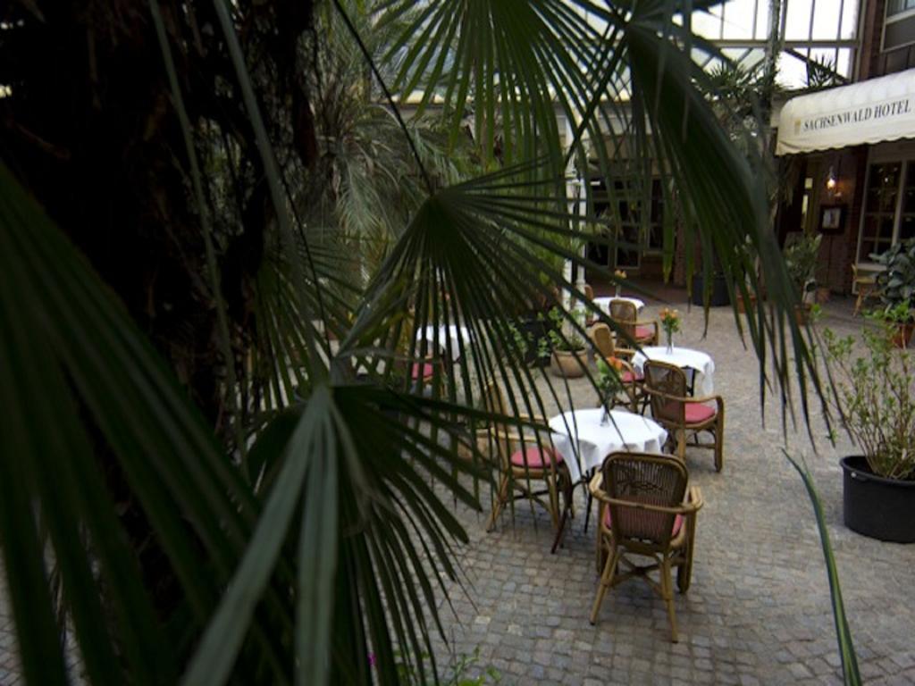 Sachsenwald Hotel Reinbek Exteriér fotografie